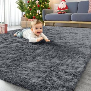 Area Rug for Living Room