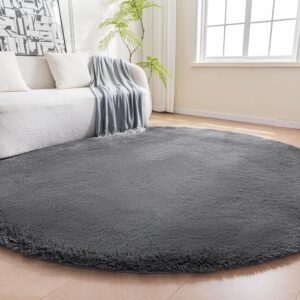 Fluffy Washable Round Area Rug
