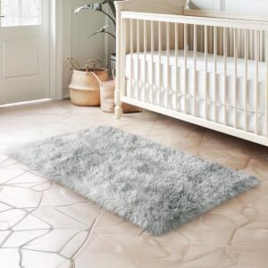 2x3 Fluffy Area Rug